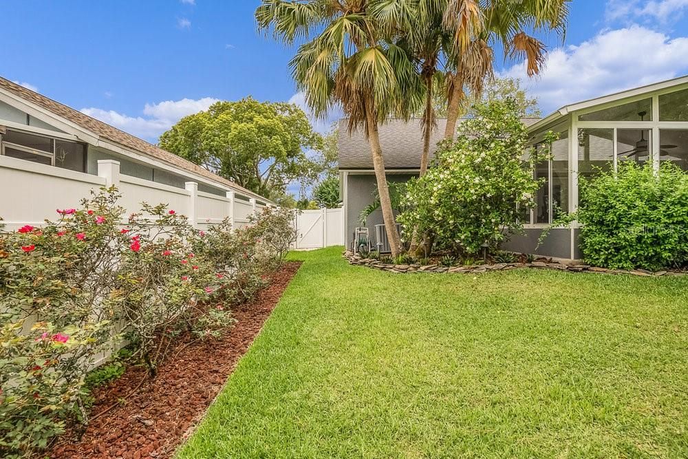 Spacious Yard with mature landscaping backing to greenbelt