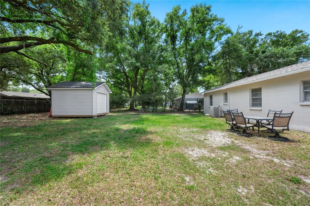 Oversized Backyard