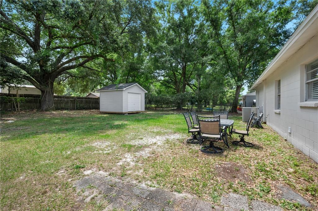 Oversized Backyard