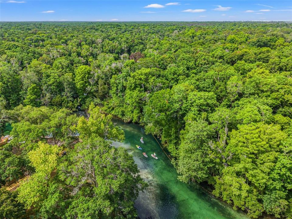 Weeki Wachee river