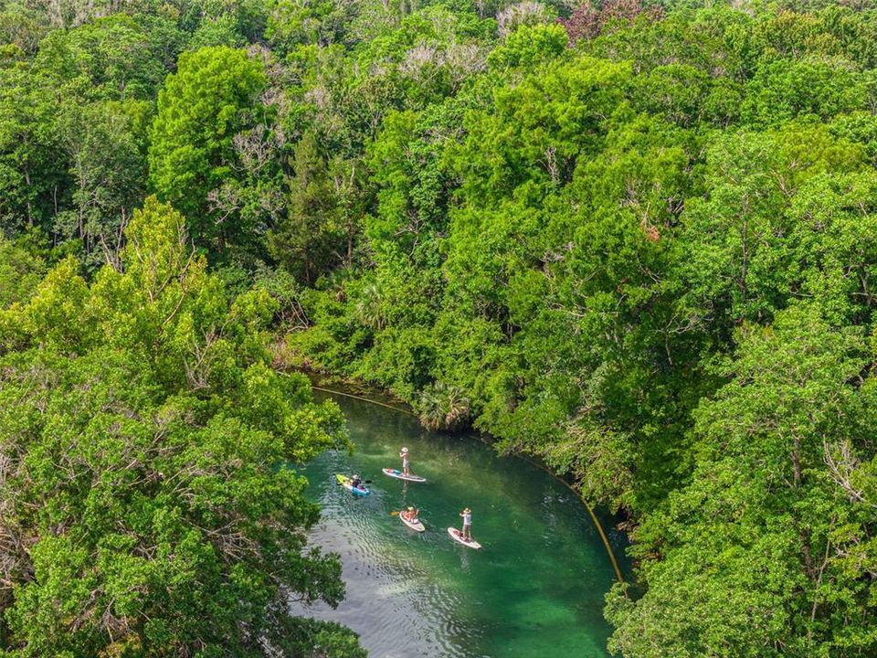 Weeki Wachee river