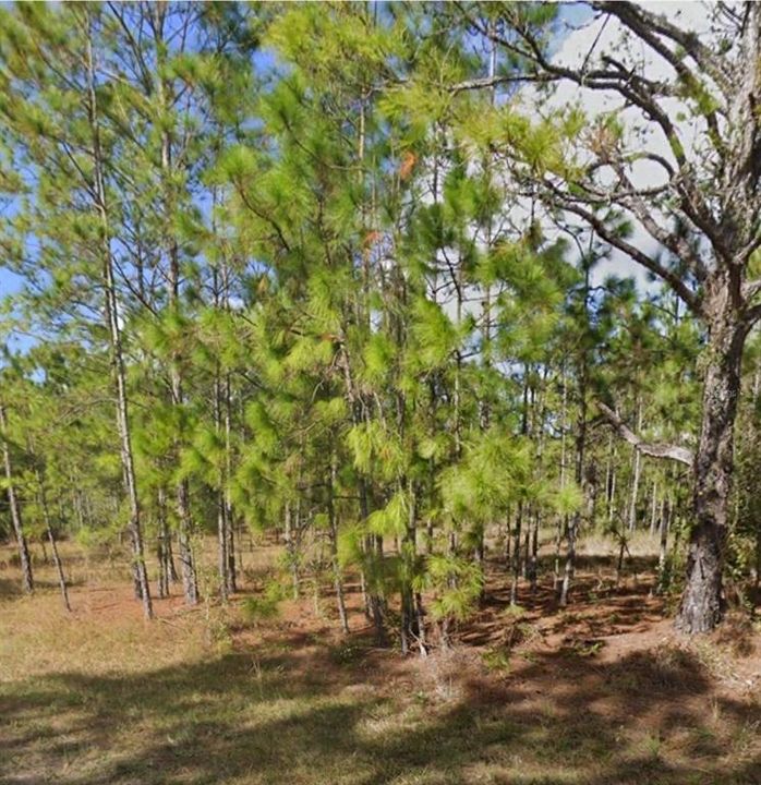 En Venta: $28,000 (0.55 acres)