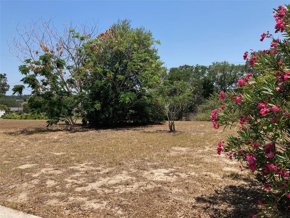 Recently Sold: $45,000 (0.24 acres)