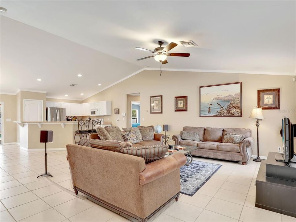 Living Room/Kitchen Open Layout