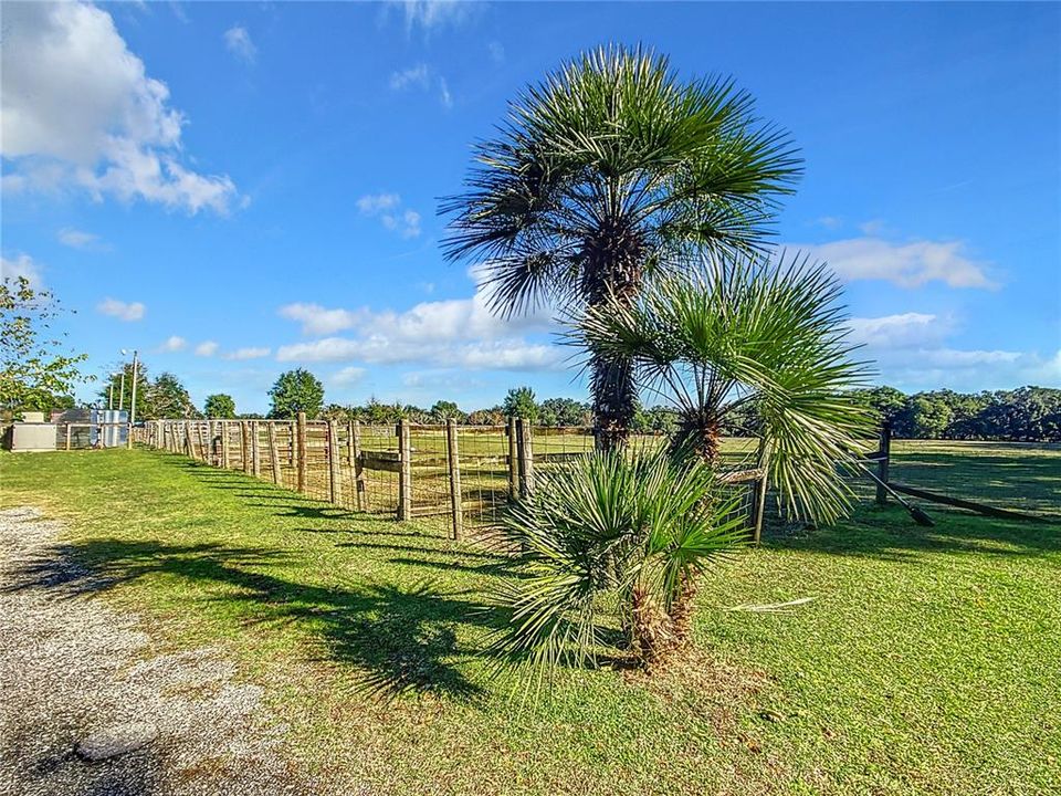 For Sale: $500,000 (3 beds, 2 baths, 1577 Square Feet)