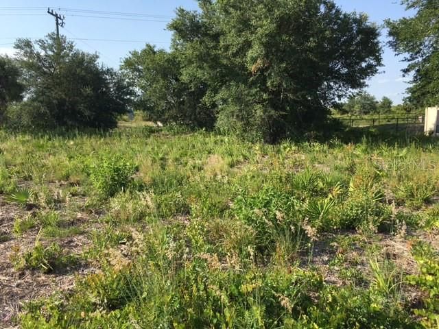 For Sale: $30,000 (0.25 acres)