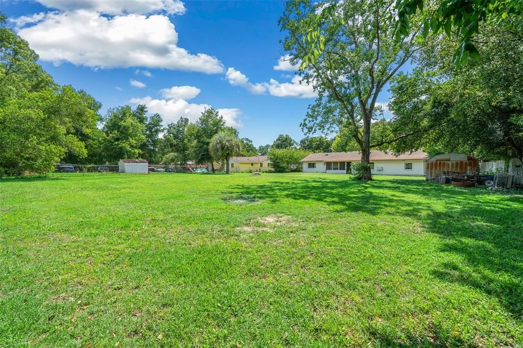 Large Open Backyard