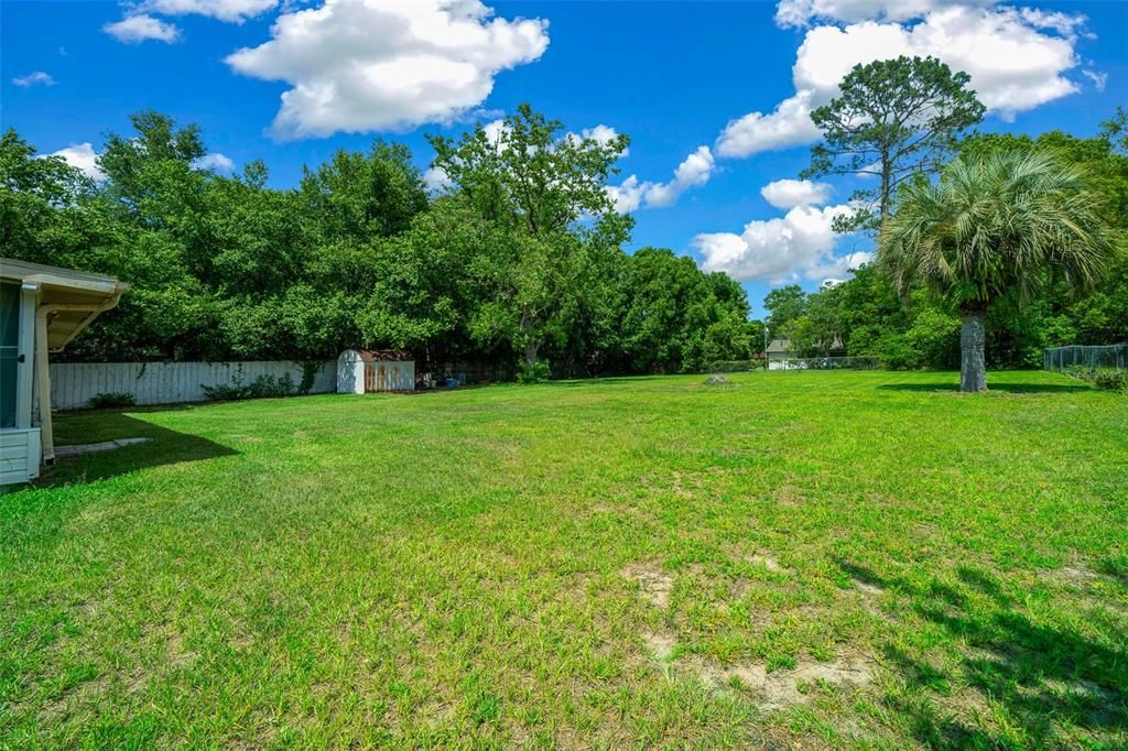 Fenced Backyard with Storage Shed