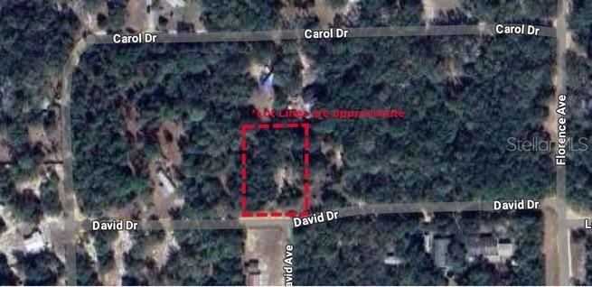 For Sale: $15,000 (0.51 acres)