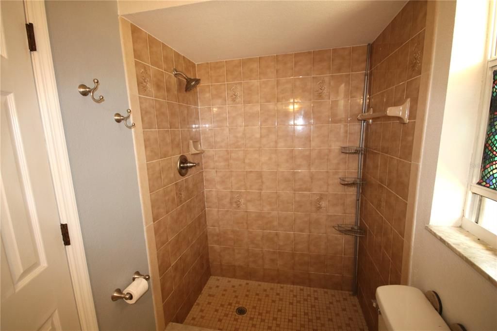 Master bath, walk-in shower