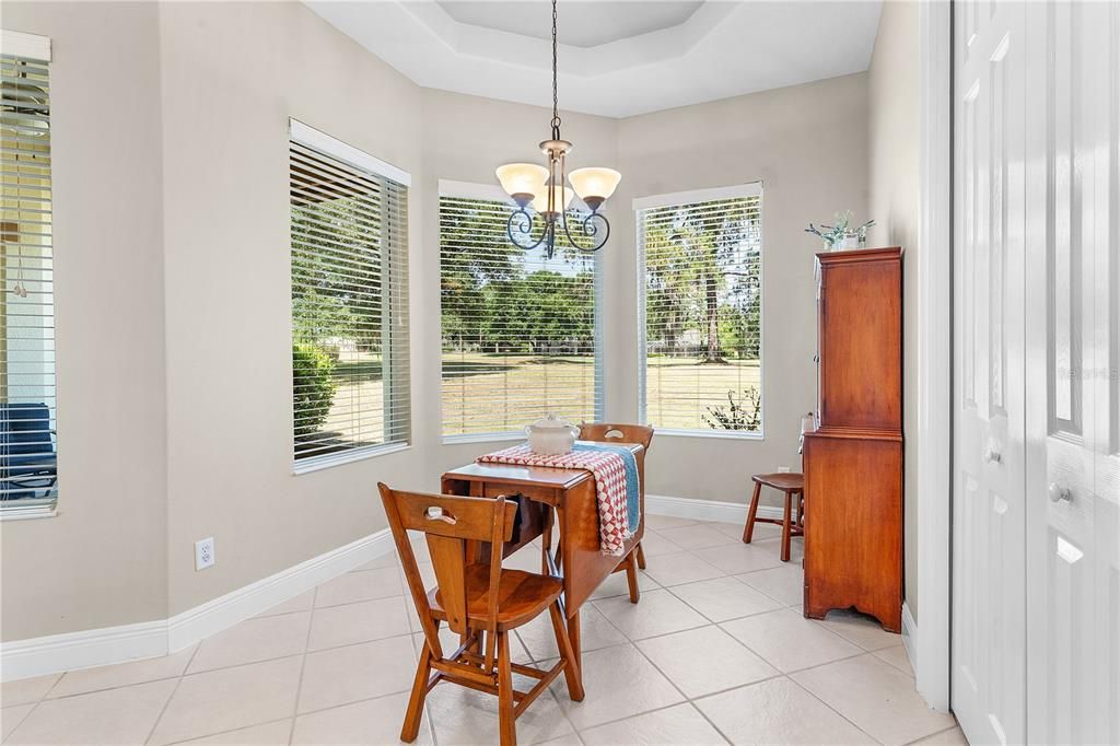 Dinette in kitchen with closet pantry