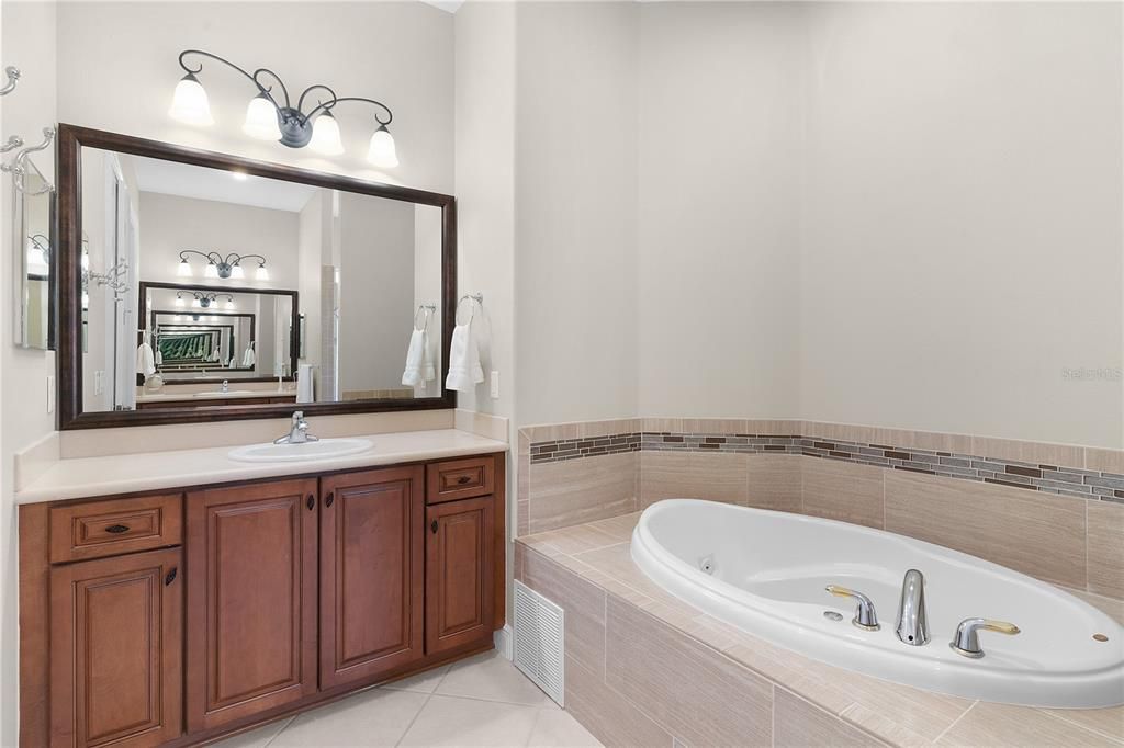 Sink and Vanity in Primary bath