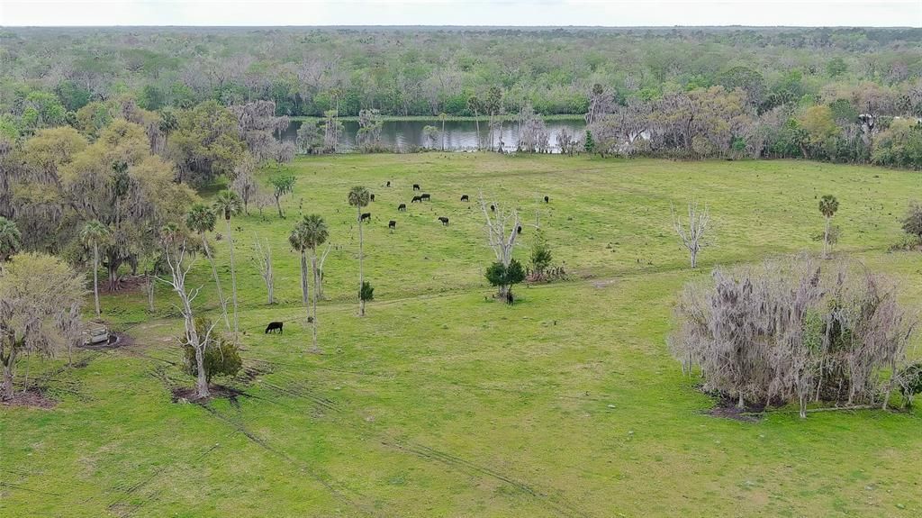 For Sale: $699,000 (5.07 acres)