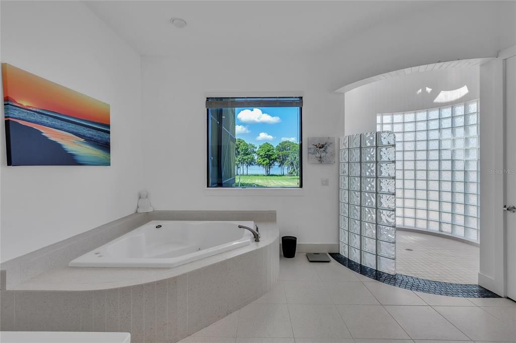 Primary Bath Tub and Shower