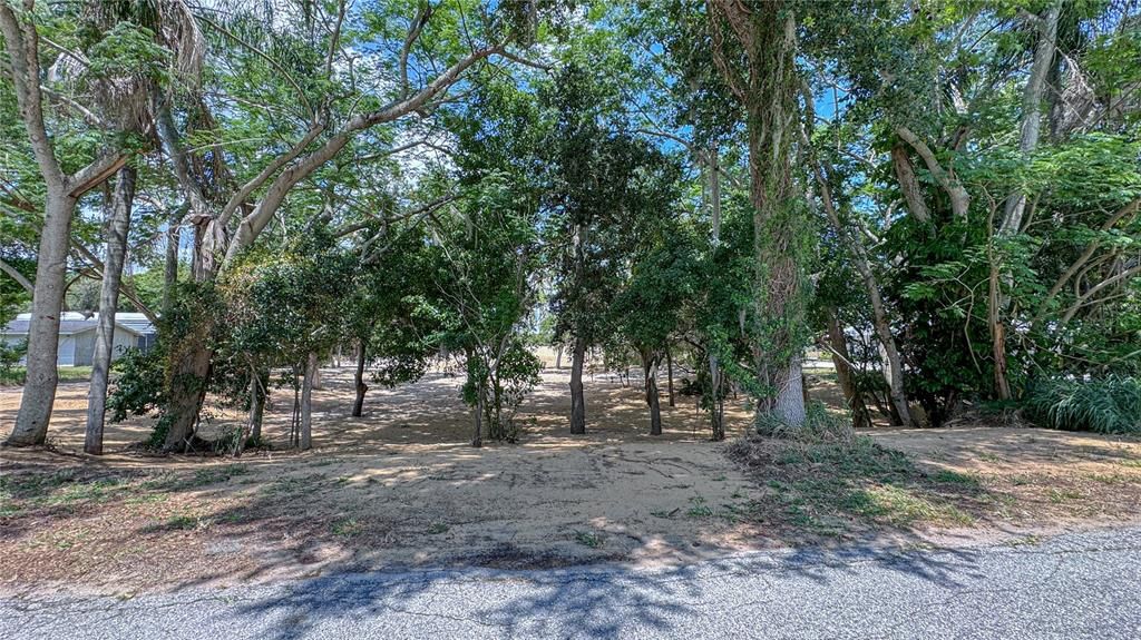 For Sale: $420,900 (1.50 acres)