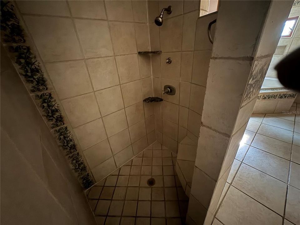 Standalone shower in primary en suite bathroom