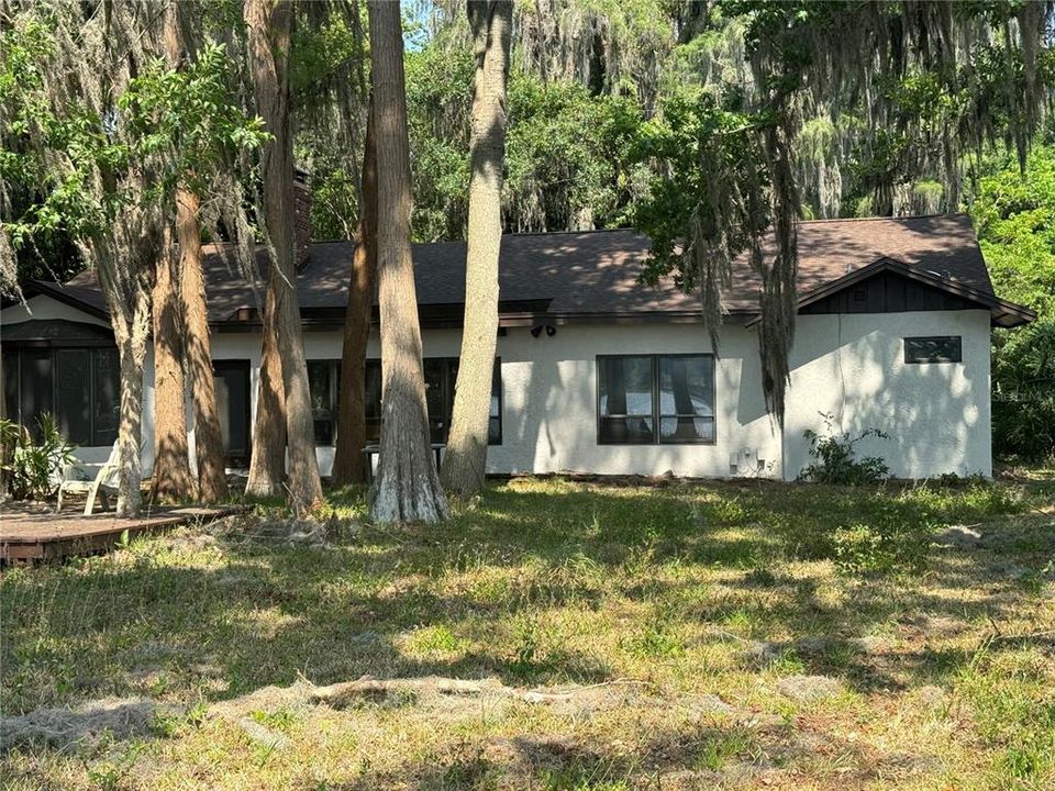Exterior rear of the main house with historic Cypress trees