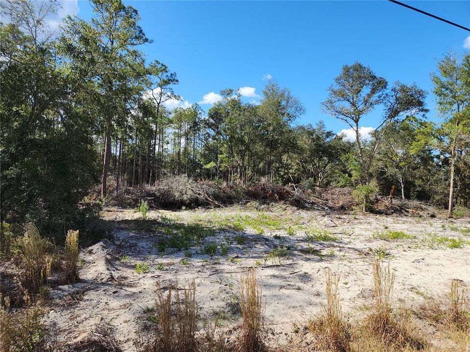 Active With Contract: $23,600 (0.99 acres)