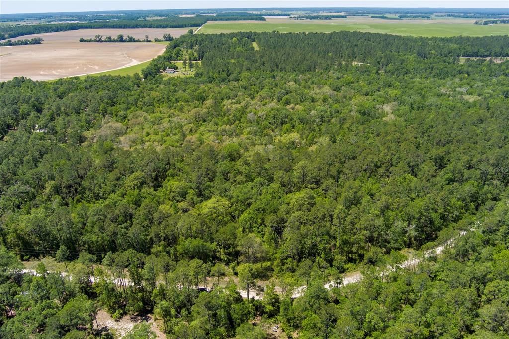 На продажу: $13,900 (1.04 acres)