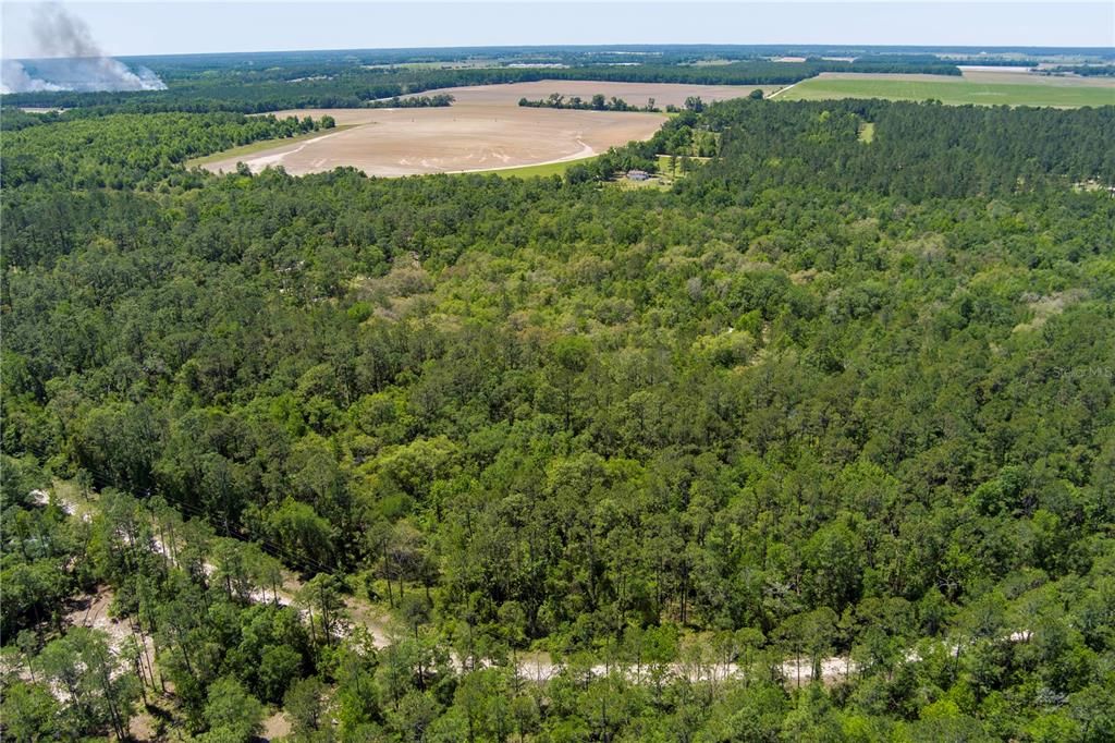 На продажу: $13,900 (1.04 acres)