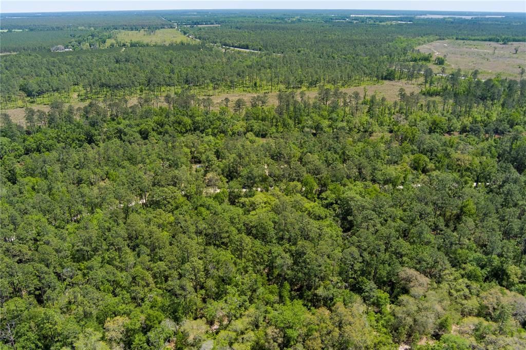 На продажу: $13,900 (1.04 acres)