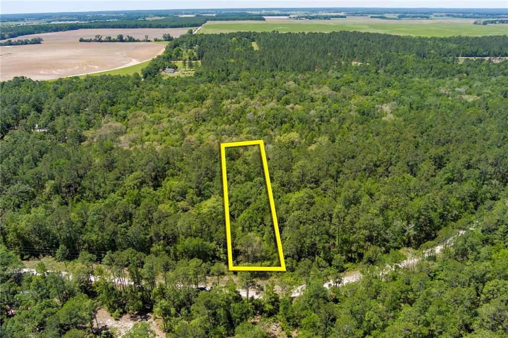 For Sale: $13,900 (1.04 acres)
