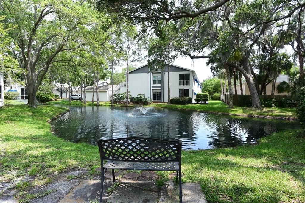 Relax By the Pond and enjoy Nature