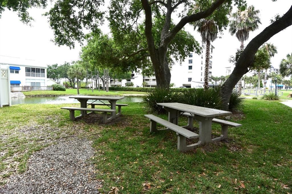 BBQ Picnic Area