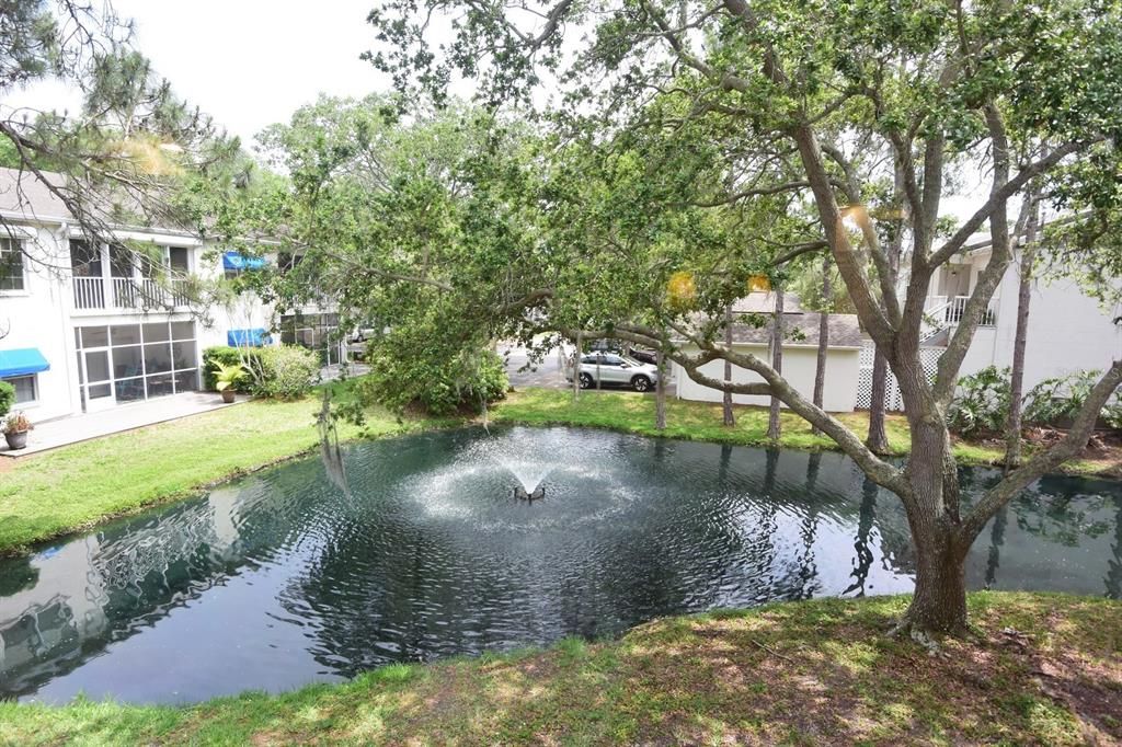 Pond View from Primary Bedroom