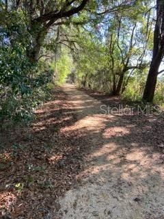 Nature Walking Trails