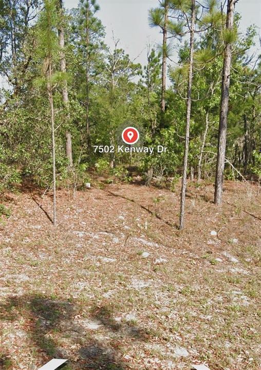 En Venta: $20,900 (0.29 acres)