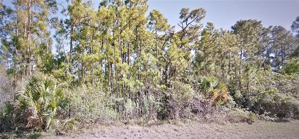 Activo con contrato: $9,999 (0.23 acres)