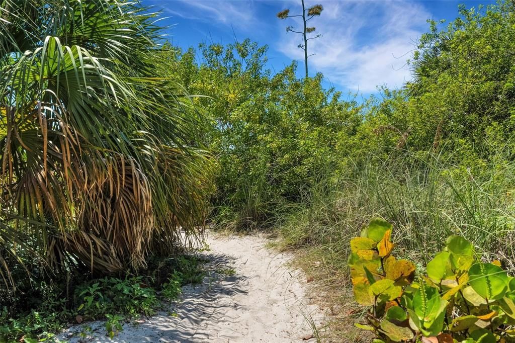 Private beach entrance next to Don Ce-Sar