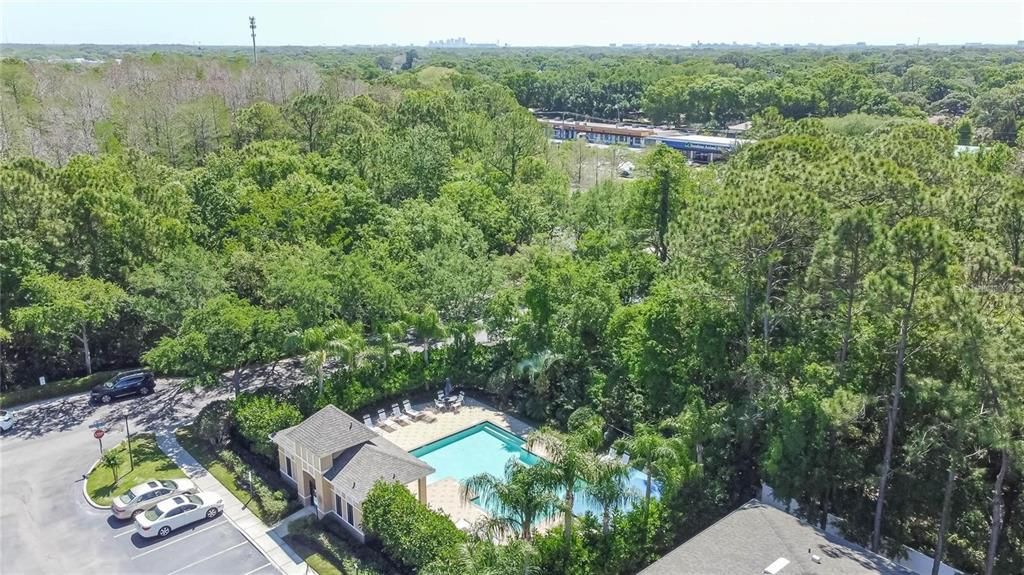 aerial view community pool