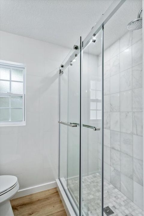 Step in shower with Grohe shower system