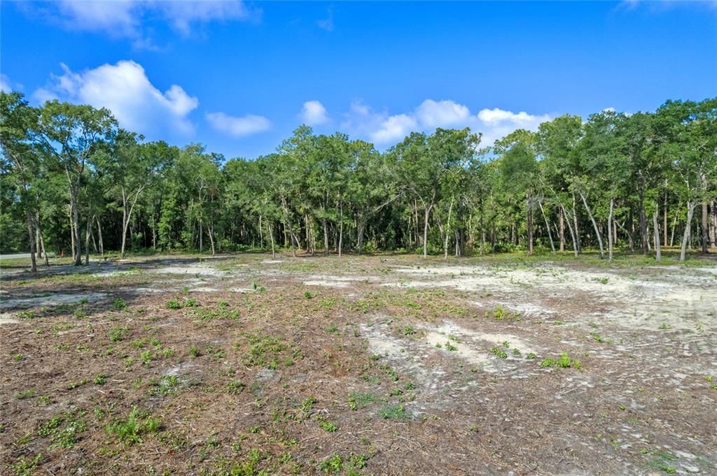 For Sale: $450,000 (9.23 acres)