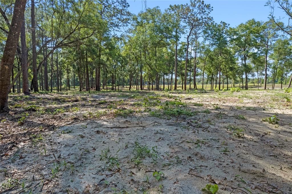 For Sale: $450,000 (9.23 acres)