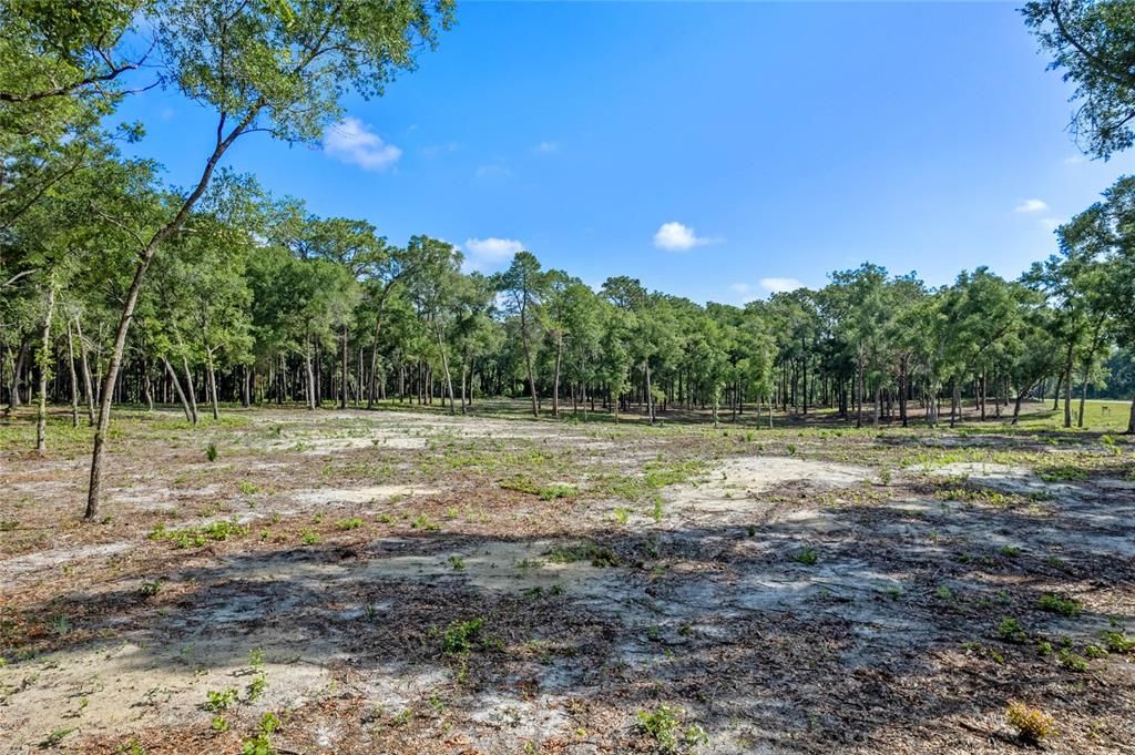 For Sale: $450,000 (9.23 acres)