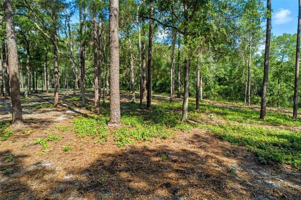 На продажу: $450,000 (9.23 acres)