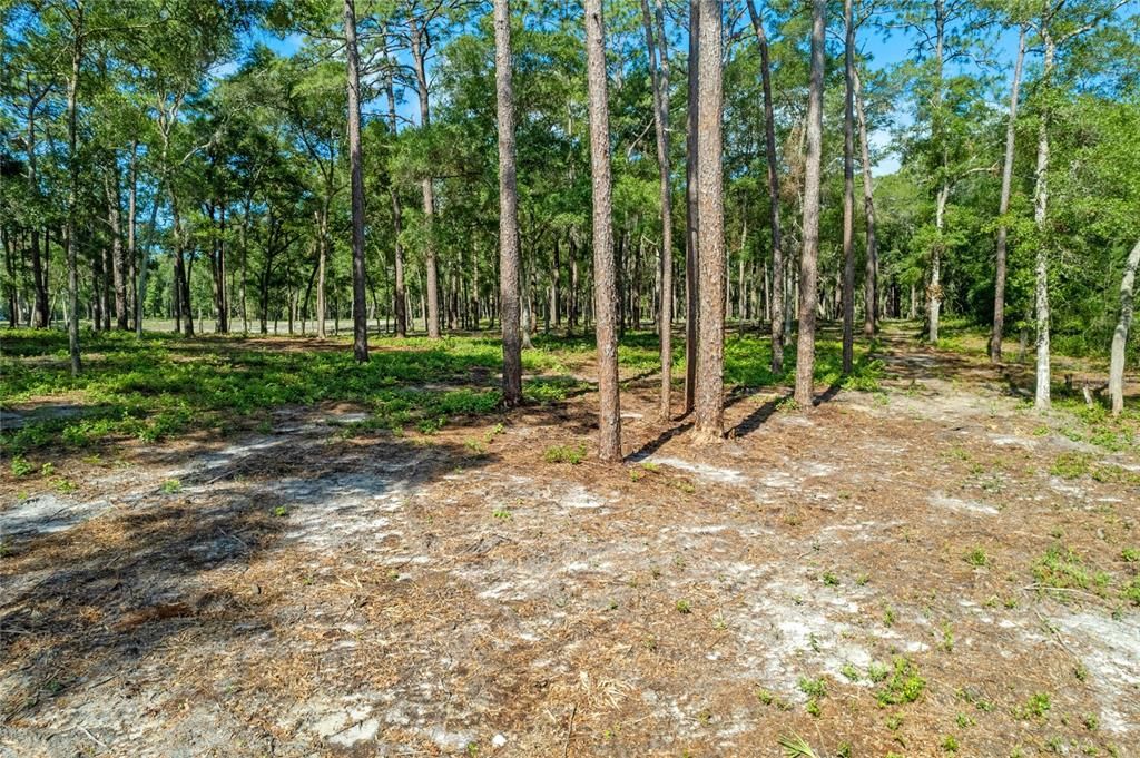 For Sale: $450,000 (9.23 acres)