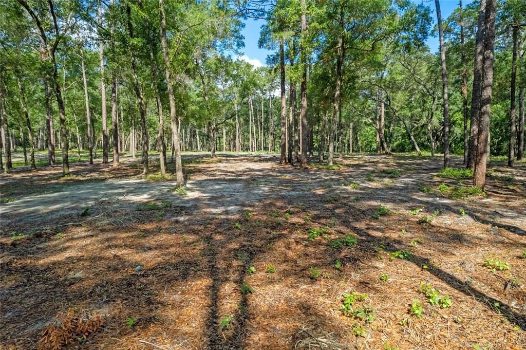 For Sale: $450,000 (9.23 acres)