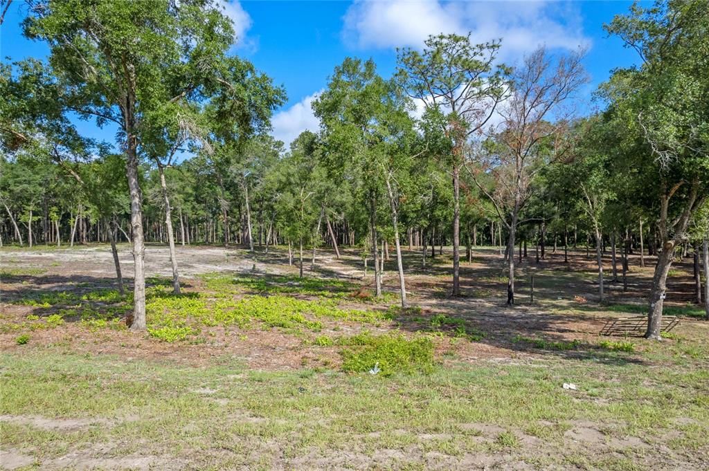 En Venta: $450,000 (9.23 acres)