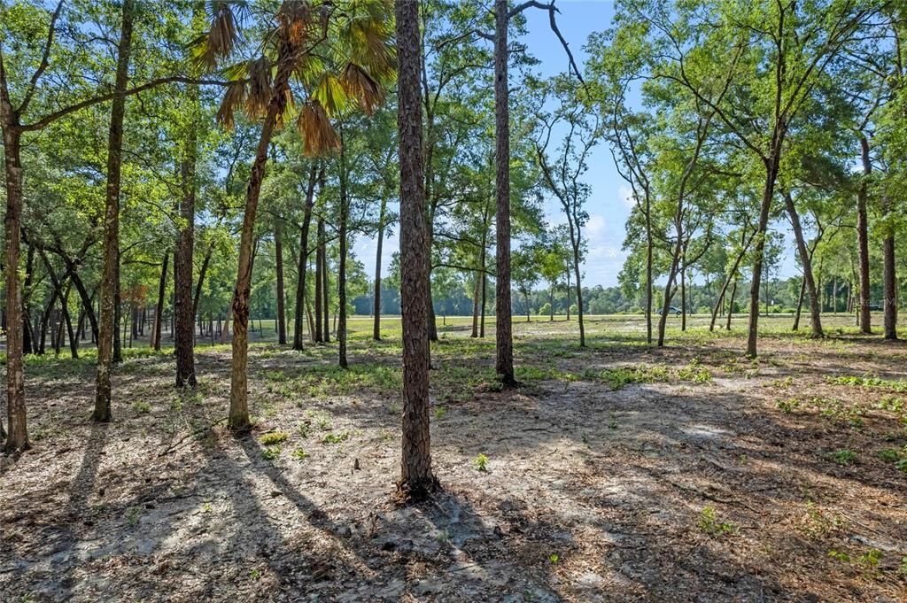 For Sale: $450,000 (9.23 acres)