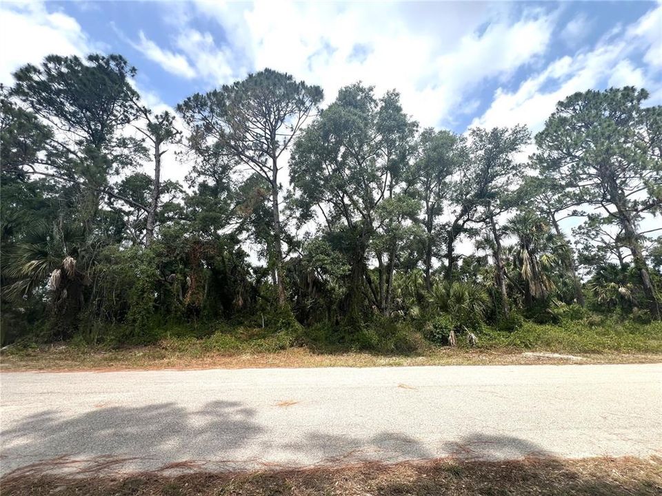 Active With Contract: $21,000 (0.23 acres)