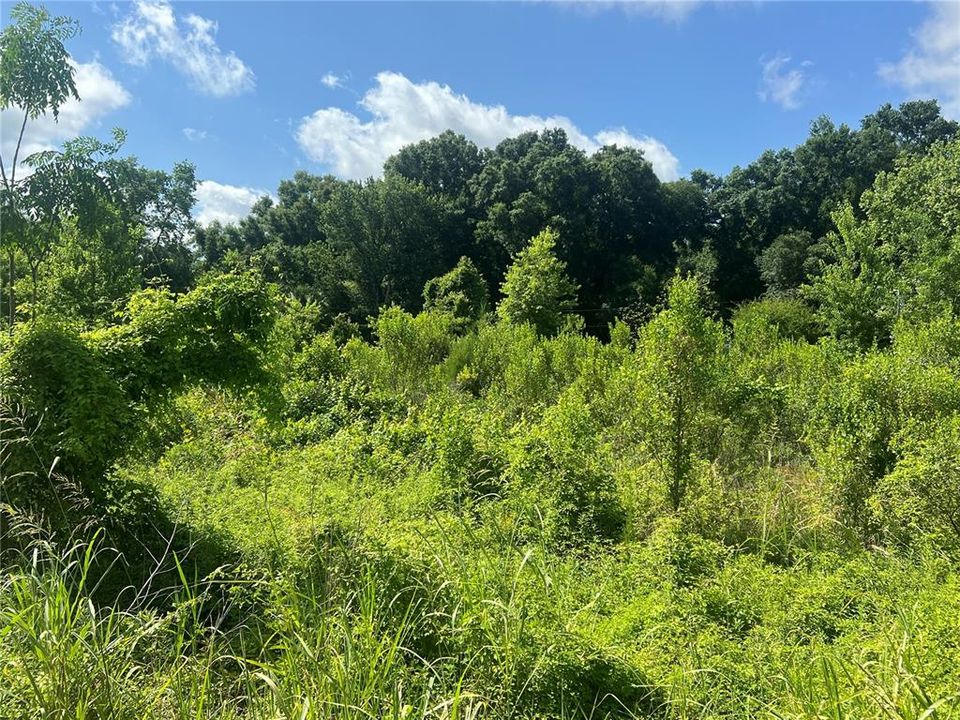 Recently Sold: $17,000 (0.29 acres)