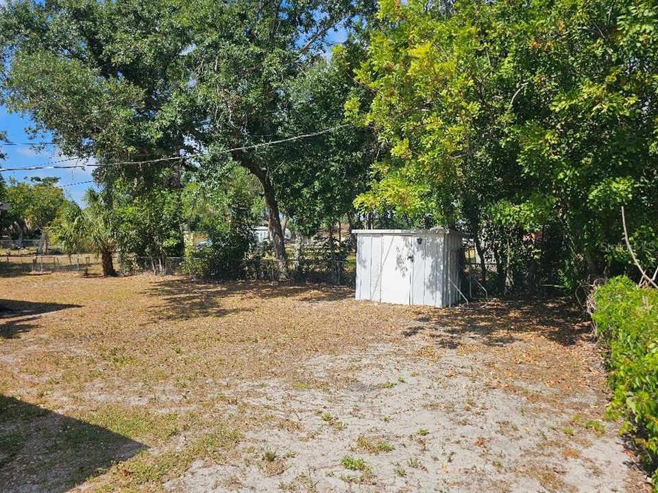 Large Backyard With Shed