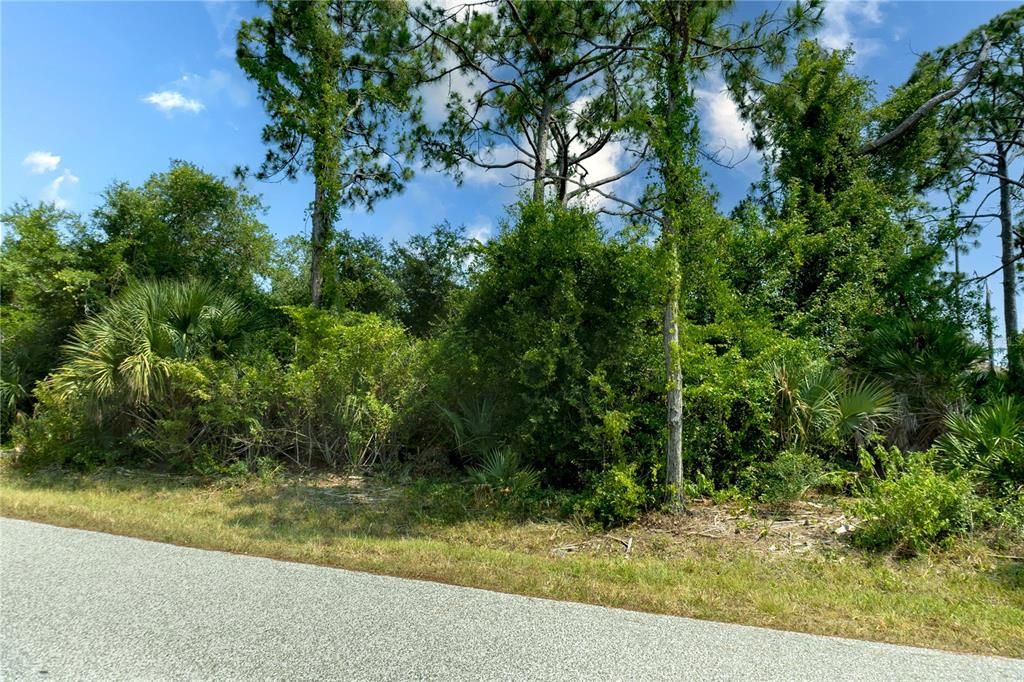 Recently Sold: $42,000 (0.23 acres)
