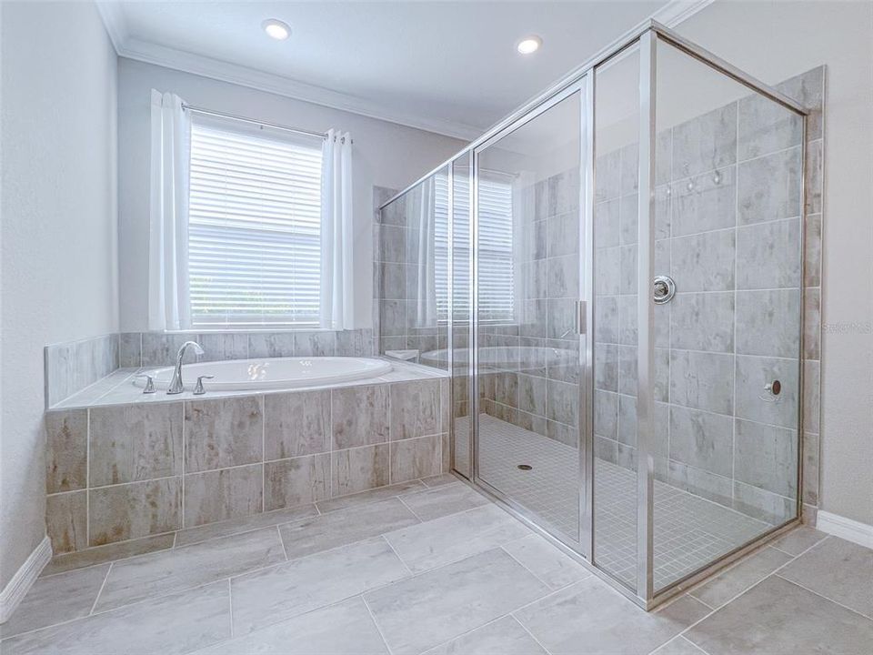 Large master bathroom with bath and shower.