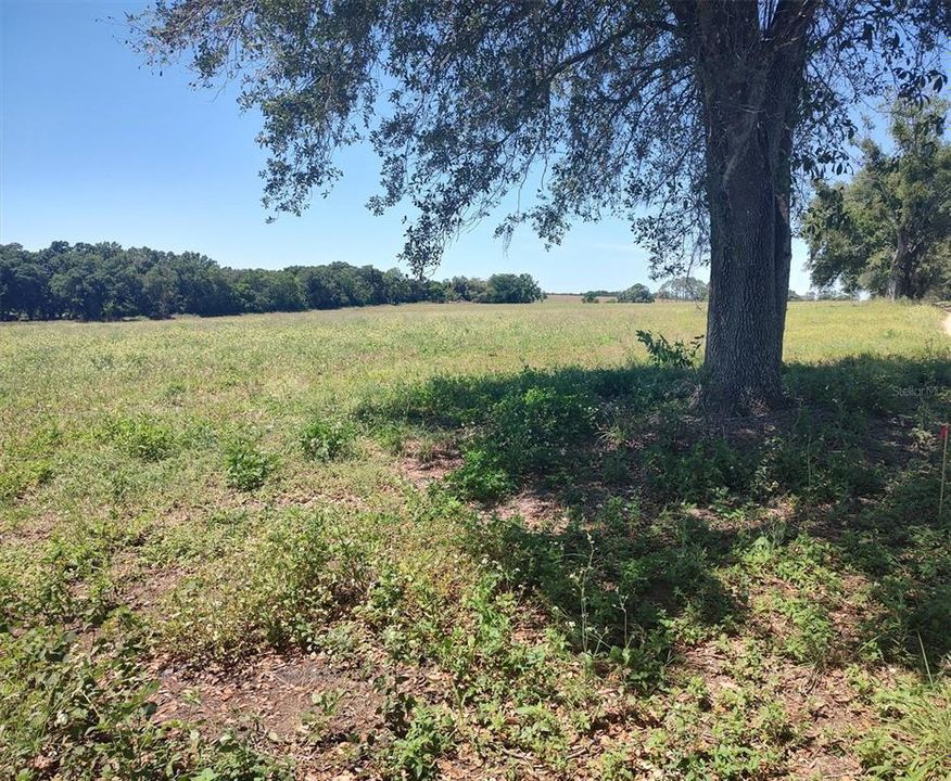 For Sale: $300,000 (4.80 acres)