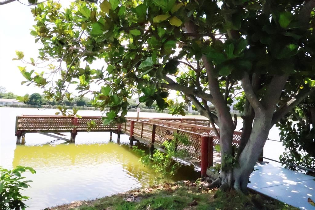 Fishing Pier